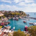 shutterstock_229732852-